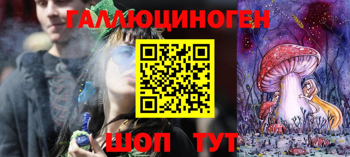 Галлюциногенные грибы Psilocybine cubensis Еманжелинск